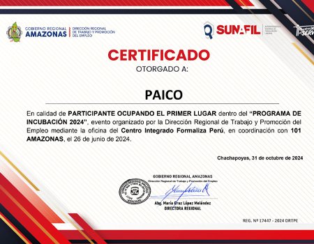 Ganadores del Programa de Incubación Empresarial 2024 